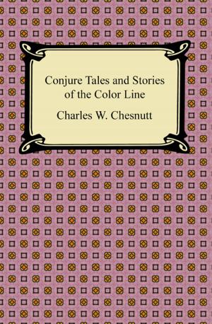 Cover of the book Conjure Tales and Stories of the Color Line by Hafiz