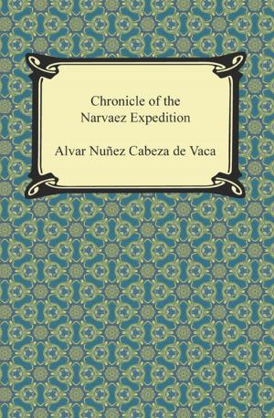 Cover of the book Chronicle of the Narvaez Expedition by Catharine Sedgwick