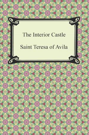 Cover of the book The Interior Castle by Douglas Gabriel