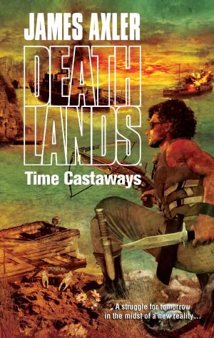 Cover of the book Time Castaways by Tony Vigorito