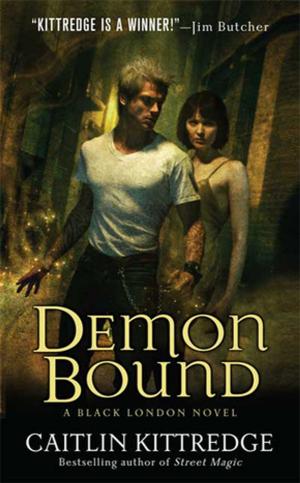 Cover of the book Demon Bound by Sadeqa Johnson