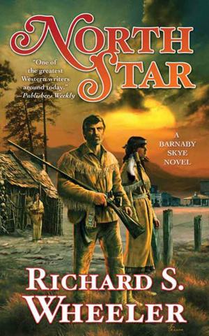 Cover of the book North Star by James F. David