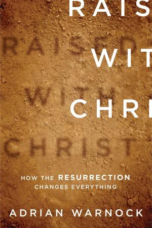 Cover of the book Raised with Christ by Shani E. McIlwain