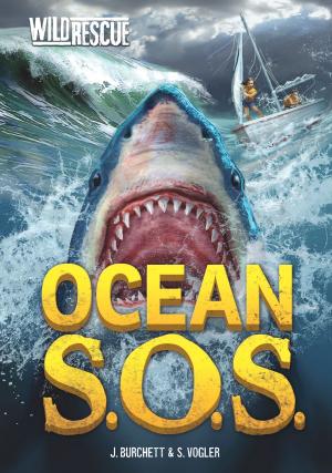 Book cover of Ocean S.O.S.