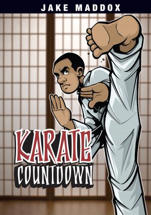 Cover of the book Karate Countdown by Steve Brezenoff