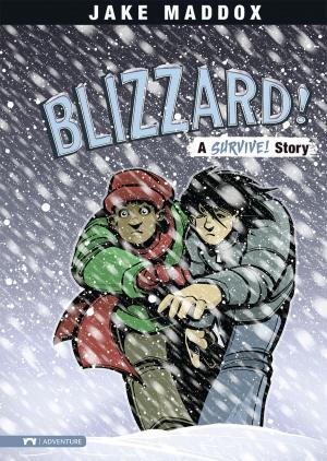 Cover of the book Blizzard! by Jake Maddox