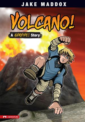 Cover of the book Volcano! by Steve Brezenoff