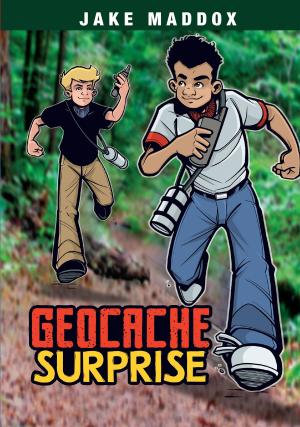 Book cover of Geocache Surprise