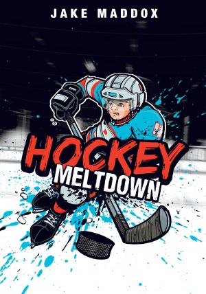 Cover of the book Hockey Meltdown by D.L. Green