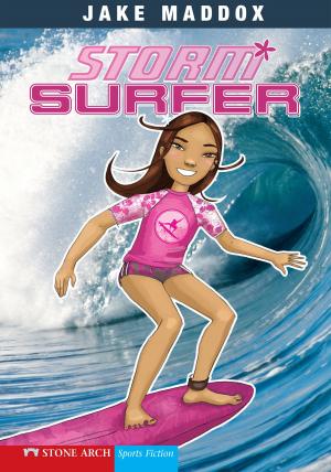 Book cover of Storm Surfer