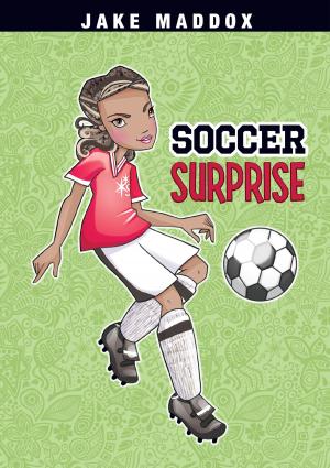 Book cover of Soccer Surprise