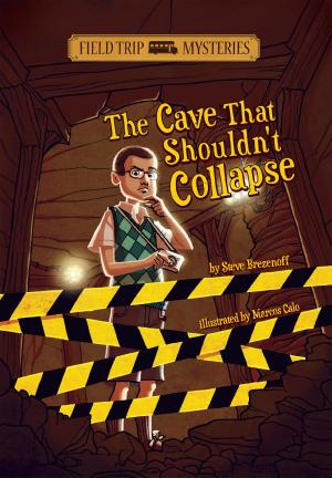bigCover of the book Field Trip Mysteries: The Cave That Shouldn't Collapse by 
