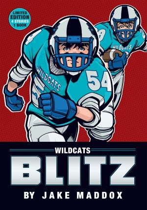 Book cover of Jake Maddox: Wildcats Blitz