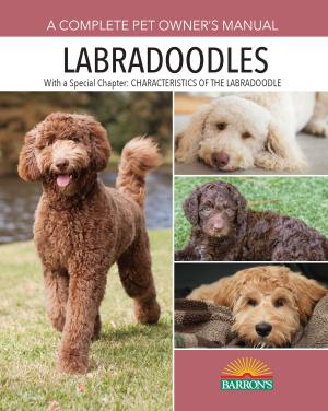 Cover of the book Labradoodles by Sharon Lynn Vanderlip, DVM