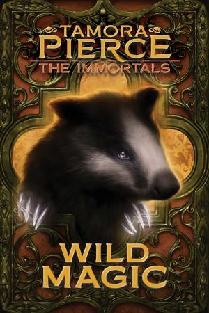 Cover of the book Wild Magic by Jaffrey Clark