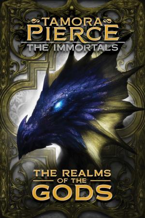 bigCover of the book The Realms of the Gods by 