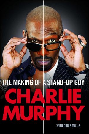 Cover of the book The Making of a Stand-Up Guy by Sophie Littlefield