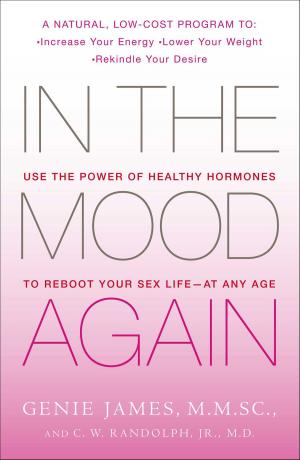 Cover of the book In the Mood Again by Elisha Goldstein, Ph.D.