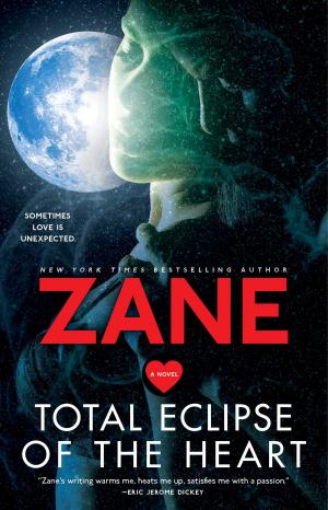 Cover of the book Total Eclipse of the Heart by Verity Vixxen