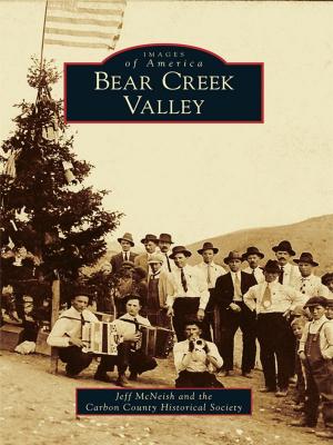 Cover of the book Bear Creek Valley by LuAnn Cadden, Ted Cable