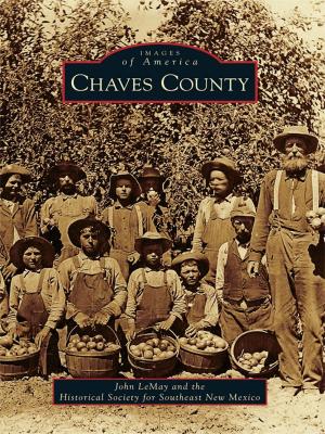 Cover of the book Chaves County by Terry Shoptaugh