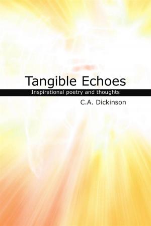 Cover of the book Tangible Echoes by Calvin Crick