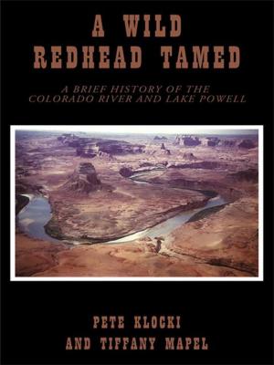 Cover of the book A Wild Redhead Tamed by Scott Crowley