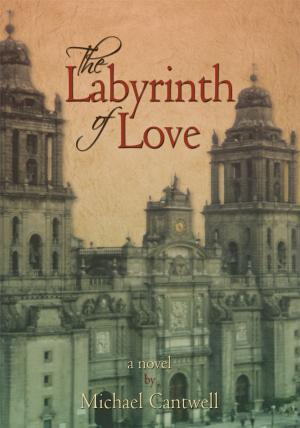 Cover of the book The Labyrinth of Love by Walter David Hickock, Linda LeBert-Corbello