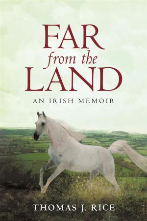 Cover of the book Far from the Land by John Chelson