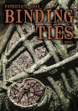 Cover of the book Binding Ties by Sonny Gratzer