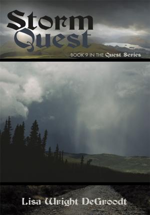 bigCover of the book Storm Quest by 