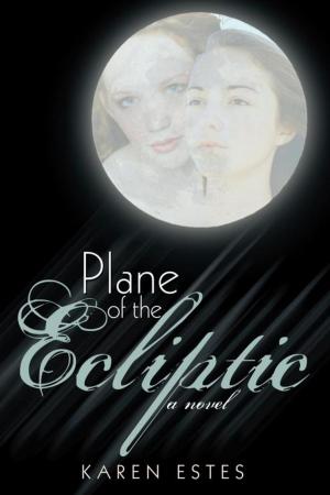 Cover of the book Plane of the Ecliptic by Michael Vetter