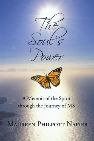 Cover of the book The Soul's Power by mansell williams