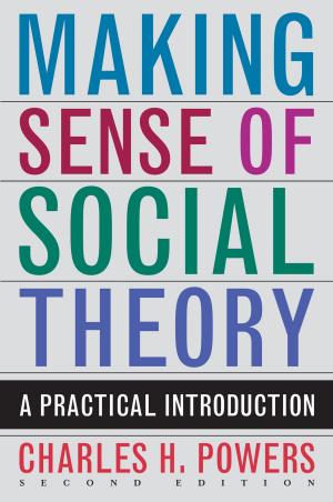 Cover of the book Making Sense of Social Theory by David S. Ariel