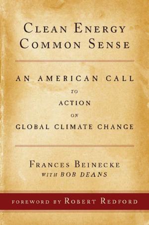 Cover of the book Clean Energy Common Sense by Linden Schaffer