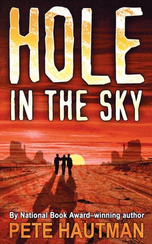 Cover of the book Hole in the Sky by Santa Montefiore