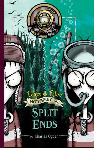 Cover of the book Split Ends by Todd Hasak-Lowy