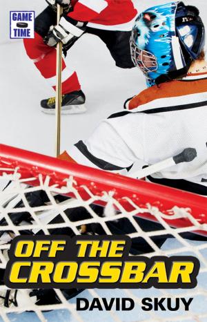 Book cover of Off the Crossbar