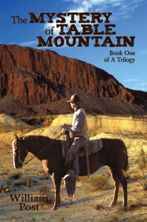 Cover of the book The Mystery of Table Mountain by Edward L. Flippen
