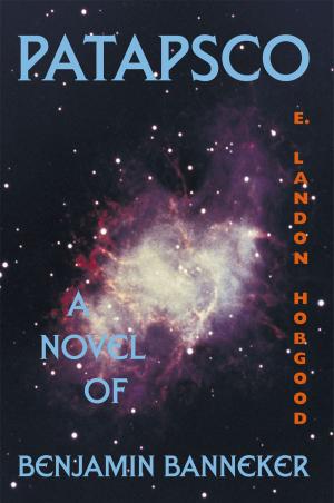 Cover of the book Patapsco by Nancy J. Chovancek