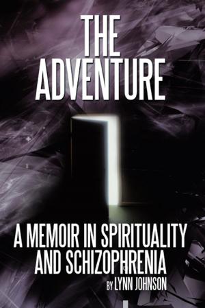 Cover of the book The Adventure by Mark Jones