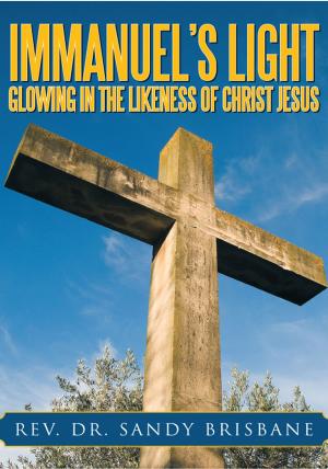 Cover of the book Immanuel's Light, Glowing in the Likeness of Christ Jesus by Marilyn B. Wassmann