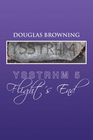 Book cover of Ysstrhm 5, Flight's End