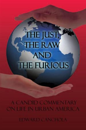 Cover of the book The Just, the Raw and the Furious by Eleonora Nowak-Serwanski
