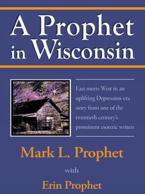 Cover of the book A Prophet in Wisconsin by Brita woolums