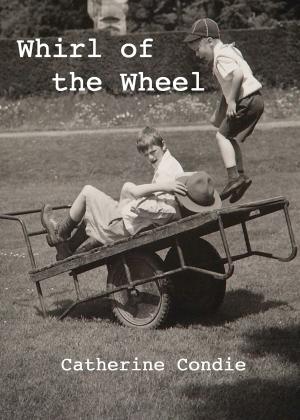 Book cover of Whirl of the Wheel