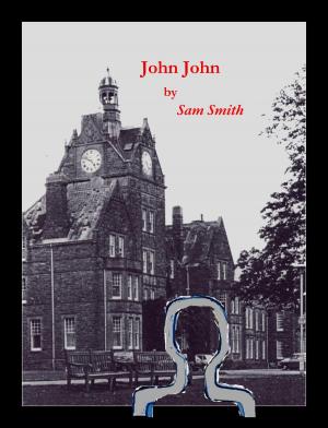 Book cover of John John