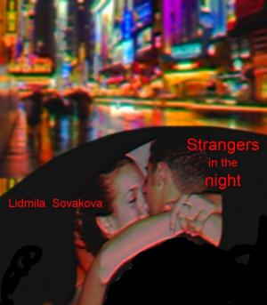 Book cover of Strangers in the Night