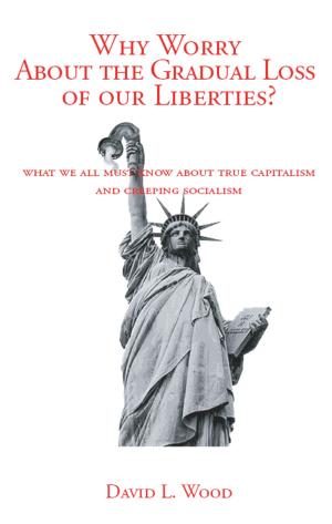 bigCover of the book Why Worry About the Gradual Loss of Our Liberties? by 