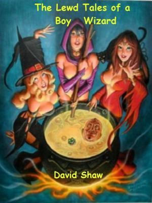 Book cover of Lewd Tales of a Boy Wizard